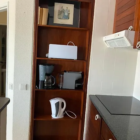 House Amendoeiras , Moura * Виламура